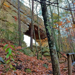 Natural Bridge State Park